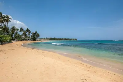 a sandy beach with palm trees and the ocean at Oceanfront apartment in Las Terrenas