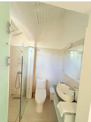 a bathroom with a toilet and a sink and a shower at Colina Buena Vista VIP in Jarabacoa