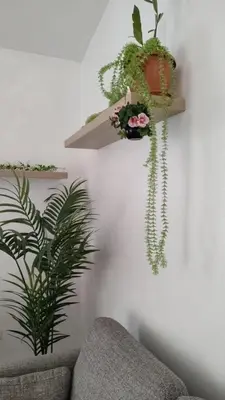 a living room with a shelf with plants and a couch at Unique and quiet TROPICKÝ PRÁZDNINOVÝ DŮM in Punta Cana