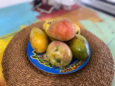 a bowl of fruit on a plate on a table at Bed-Breakfast lunch Tropical Private-room in Santa Bárbara de Samaná