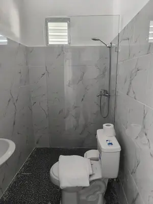 a bathroom with a toilet and a shower and a sink at Room Vanesa in Las Terrenas
