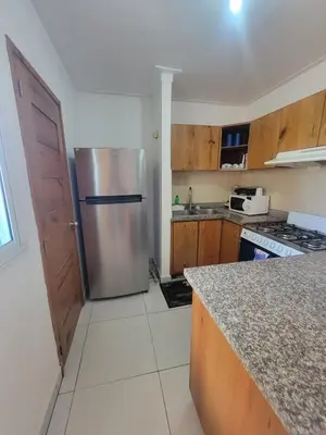 a kitchen with a stainless steel refrigerator and wooden cabinets at Palma Real Apt Near Cibao Airport & Pool in Santiago de los Caballeros