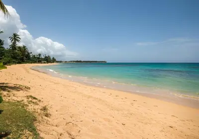 a sandy beach with the ocean and palm trees at Casa Zelima, a fully equipped apartment in Las Terrenas