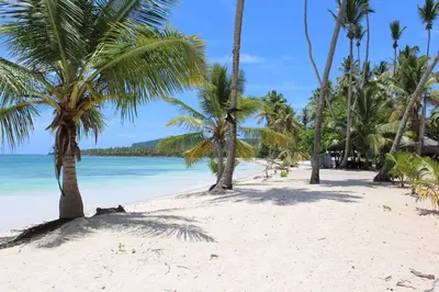 a beach with palm trees and the ocean at Villas Reynoso, Near La Playita Beach in Las Galeras Samaná in Las Galeras
