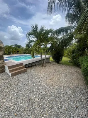 a swimming pool with a palm tree in a yard at Rancho La Loma in Higuey
