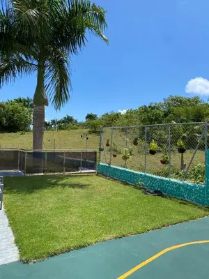 a tennis court with a fence and a palm tree at Villa Tula in Sosúa