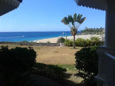 a view of a beach with a palm tree and the ocean at Los Balcones in Sosúa