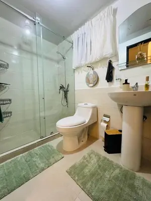 a bathroom with a shower and a toilet and a sink at Luxurious and comfortable 1 level in Juan López