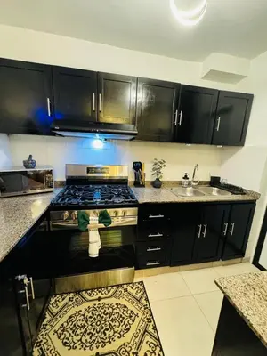 a kitchen with black cabinets and a stove and a sink at Luxurious and comfortable 1 level in Juan López