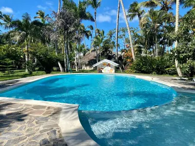 a large blue pool with palm trees in the background at KERY-OASIS 2bdr with pool close to the Beach in Las Terrenas