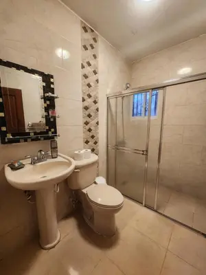 a bathroom with a toilet and a sink and a shower at Remanso 1 in Jarabacoa