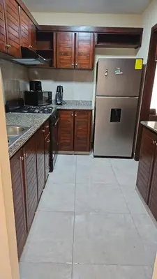 a kitchen with wooden cabinets and a stainless steel refrigerator at Family Relaxation in San Isidro