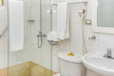 a bathroom with a shower and a toilet and a sink at Hotel Restaurant Chino in Santa Bárbara de Samaná