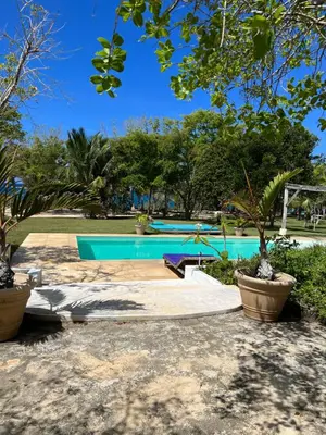 a swimming pool in a park with trees at Ki-Ra Holistic Living in Boca de Chavón