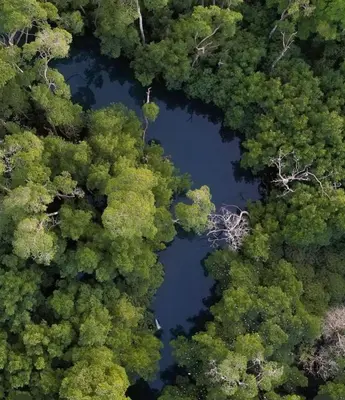 an aerial view of two lakes in a forest at Lujosa Villa in Río San Juan J in Río San Juan