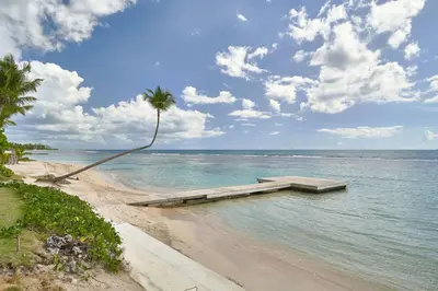 a palm tree on a beach with a pier and the ocean at Aquarella Deluxe Caribbean Paradise in La Puntica de Juan Dolio