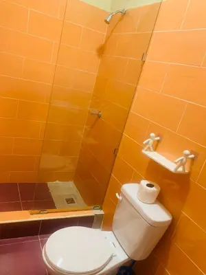 a bathroom with a toilet and a shower at Apartamento Mariela 4 in San Felipe de Puerto Plata