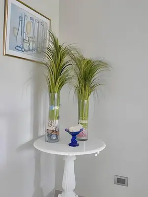 Gallery image of Caribbean Warmy Sand Apt. a Few steps in Quisqueya