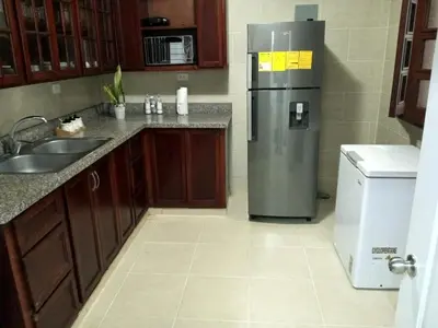 a kitchen with a refrigerator and a sink at Exclusive Apartment Free WiFi and Parking in Santo Domingo