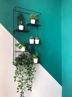 a green wall with a shelf with potted plants at Apartment 150m from the beach with pool in Boca Chica