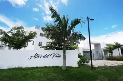 a white building with a palm tree in front of it at Peace Place in Santiago de los Caballeros