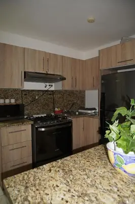 a kitchen with a black stove and a black refrigerator at Experience Coconut Paradise Apart O2 in San Cristóbal