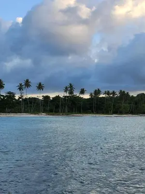 a body of water with palm trees in the background at Dani's Guesthouse in Las Galeras
