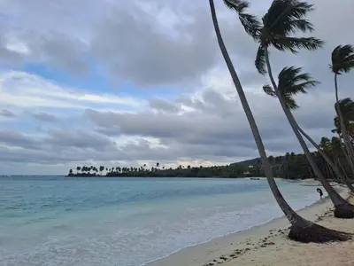 a beach with two palm trees and the ocean at Dani's Guesthouse in Las Galeras