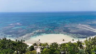 an aerial view of a beach and the ocean at MeliT in Las Terrenas