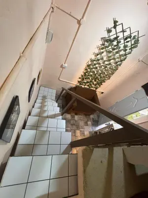a staircase in a building with a potted plant at Casa de huéspedes La Española in Santo Domingo