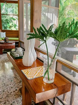 two vases sitting on a wooden table with a plant at Lux Villa Casa de Campo in La Romana