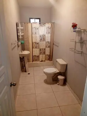 a bathroom with a toilet and a shower and a sink at Casa Ramona in Las Galeras
