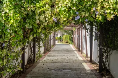 a walkway covered in flowers and plants at Resort Villas | 2 hab con piscina y playa in Juan Dolio