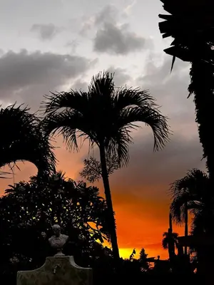 a sunset with palm trees and a statue in the foreground at CasaLoca Cabarete Studio Apartment in Cabarete