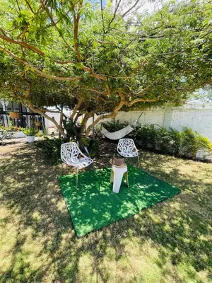 two chairs and a table under a tree at 2BR Getaway Villa in Montecristi in San Fernando de Monte Cristi