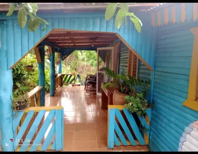 a blue house with a porch with plants on it at Las Amapolas, Saman typical houses in Las Galeras