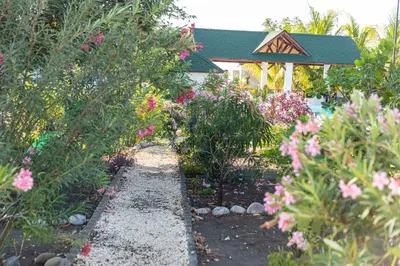 a garden with pink flowers in front of a house at LAS PALMAS 2 VILLA 20 personnes pool in Palmar de Ocoa
