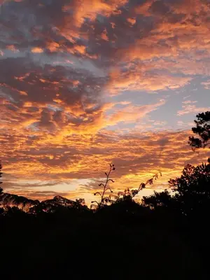a sunset with trees and clouds in the sky at Villa Flor Rubi in Jarabacoa