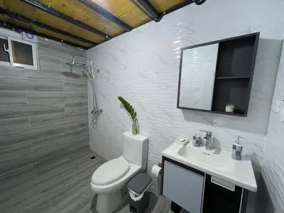 a bathroom with a toilet and a sink and a mirror at Lofts R&L in Juan de Herrera