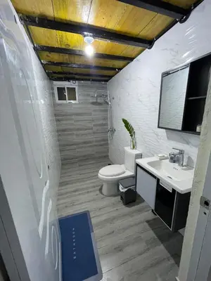a bathroom with a toilet and a sink at Lofts R&L in Juan de Herrera