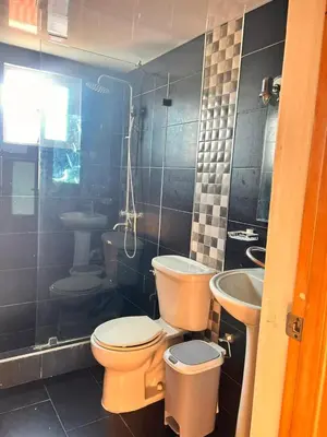 a bathroom with two toilets and a sink at Vista del sol in La Viva