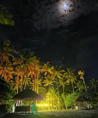 a night view of a beach with palm trees and a moon at Playa Rene RD in San Felipe de Puerto Plata