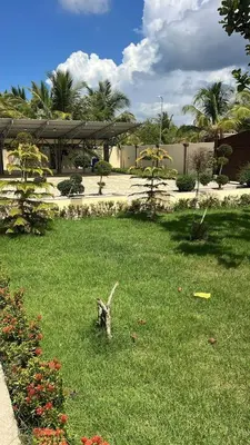 a green yard with a frisbee in the grass at Villa La Perla in Pimentel