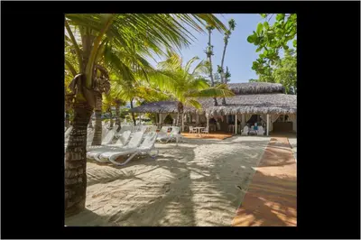 a beach with white lounge chairs and a palm tree at Apartamento Moderno en Playa Dorada Piscina & Playa in Puerto Plata