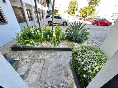 a group of plants in front of a building at Alojamiento cerca de Agora y Blue Mall y Cine etc in Santo Domingo