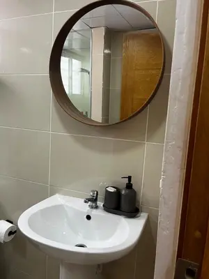 a bathroom with a sink and a mirror at Luxurious and cozy apartment in San Luis