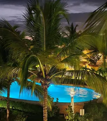 a group of palm trees in front of a pool at Apartman Tamarindo in La Laguna