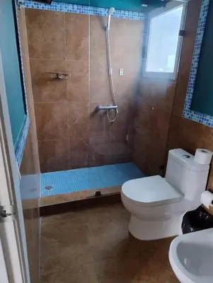 a bathroom with a shower and a toilet and a sink at Brisa de Alma Guesthouse in Bayahibe