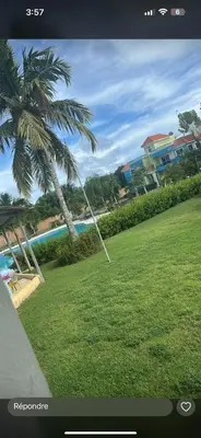a view of a palm tree and a swimming pool at Jolie condo in Boca Chica