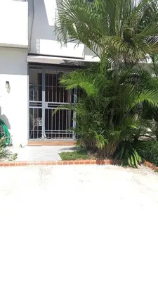 a palm tree in front of a building with a window at Casa Bonita con Jacuzzi in Los Mameyes